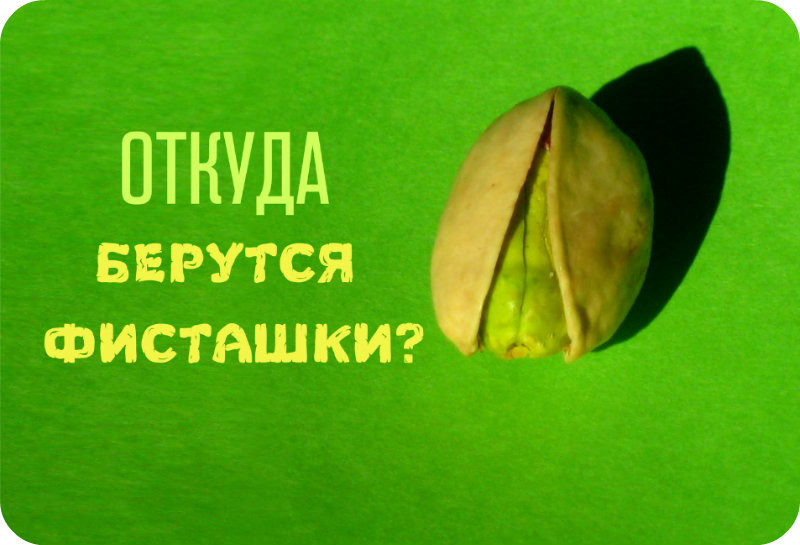 Как растут привычные нам продукты