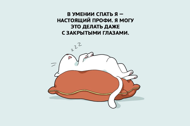 14 забавных зарисовок о тех, кто за сон готов продать родную мать. Знакомо до боли!